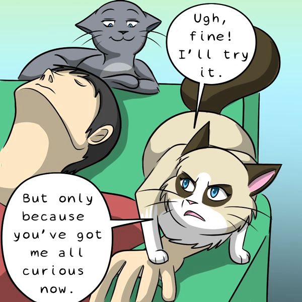 Behind the GIFs Chapter 267 page 8 - Chapter 267