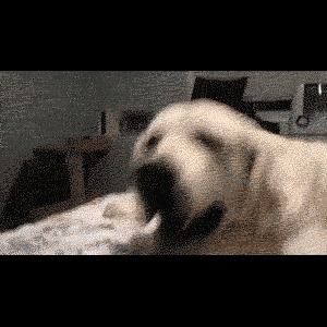Behind the GIFs Chapter 27 page 10 - Chapter 27 : Cain and Abel - Kat Swenski