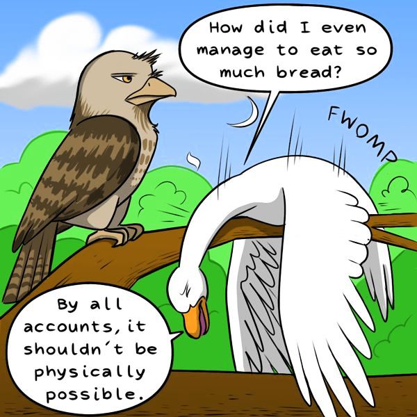 Behind the GIFs Chapter 28 page 3 - Chapter 28 : Bread Overdose - Kat Swenski