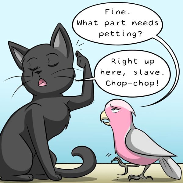 Behind the GIFs Chapter 291 page 7 - Chapter 291
