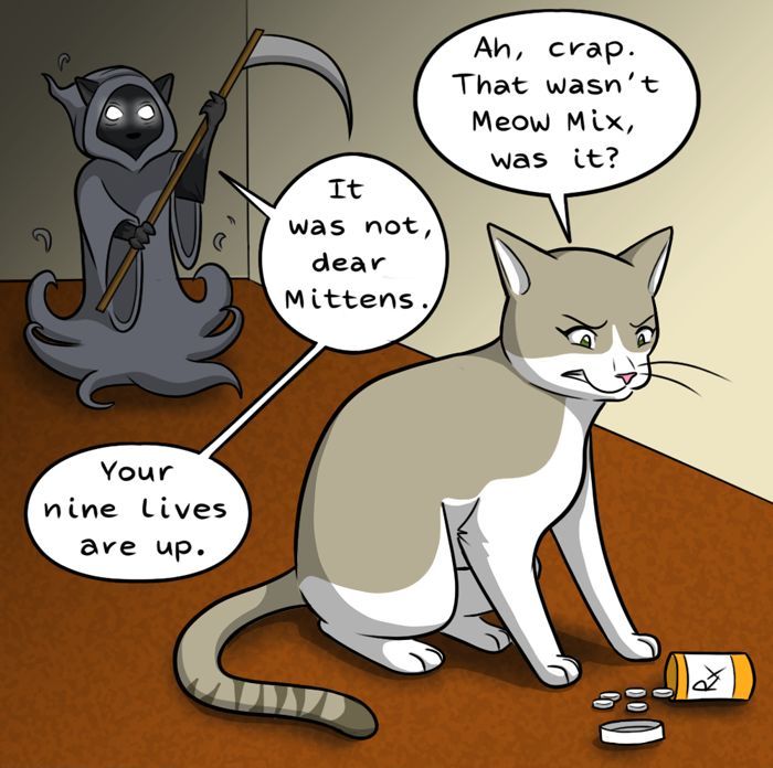 Behind the GIFs Chapter 3 page 2 - Chapter 3