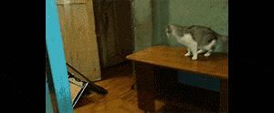 Behind the GIFs Chapter 3 page 7 - Chapter 3