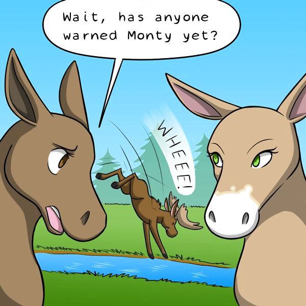 Behind the GIFs Chapter 300 page 5 - Chapter 300