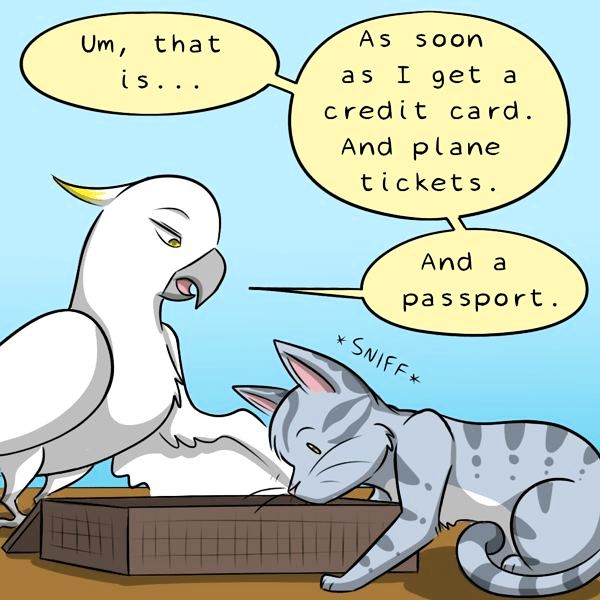 Behind the GIFs Chapter 307 page 6 - Chapter 307