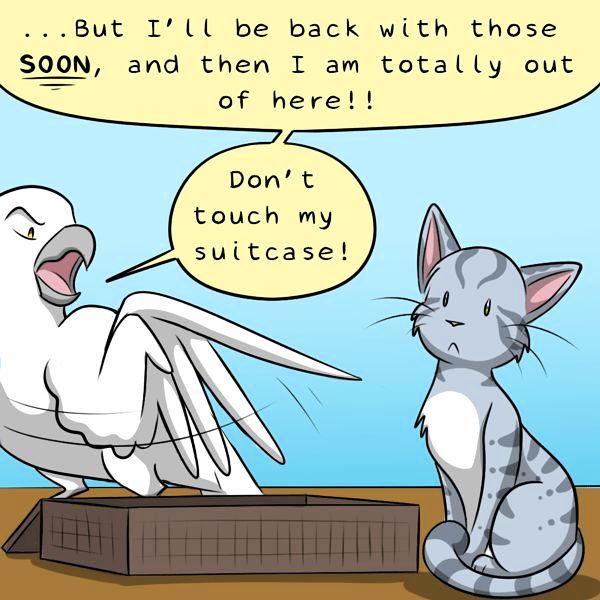 Behind the GIFs Chapter 307 page 7 - Chapter 307