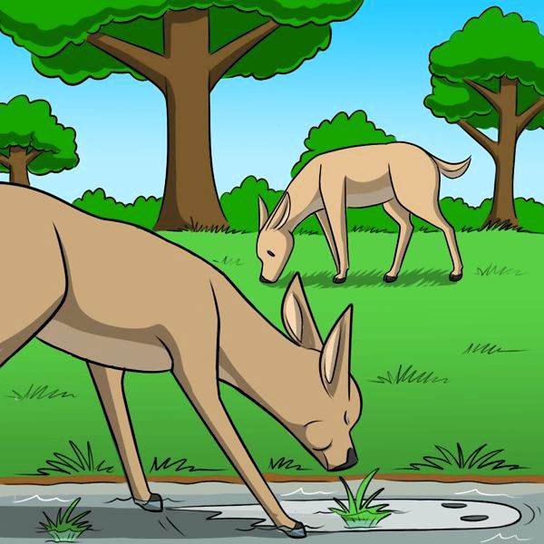 Behind the GIFs Chapter 315 page 4 - Chapter 315