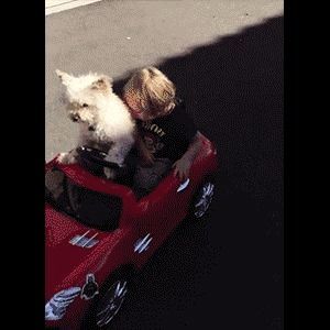 Behind the GIFs Chapter 32 page 11 - Chapter 32 : Man's Best Friend - Kat Swenski