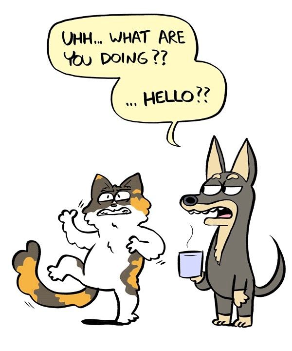 Behind the GIFs Chapter 326 page 1 - Chapter 326