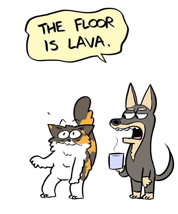 Behind the GIFs Chapter 326 page 6 - Chapter 326