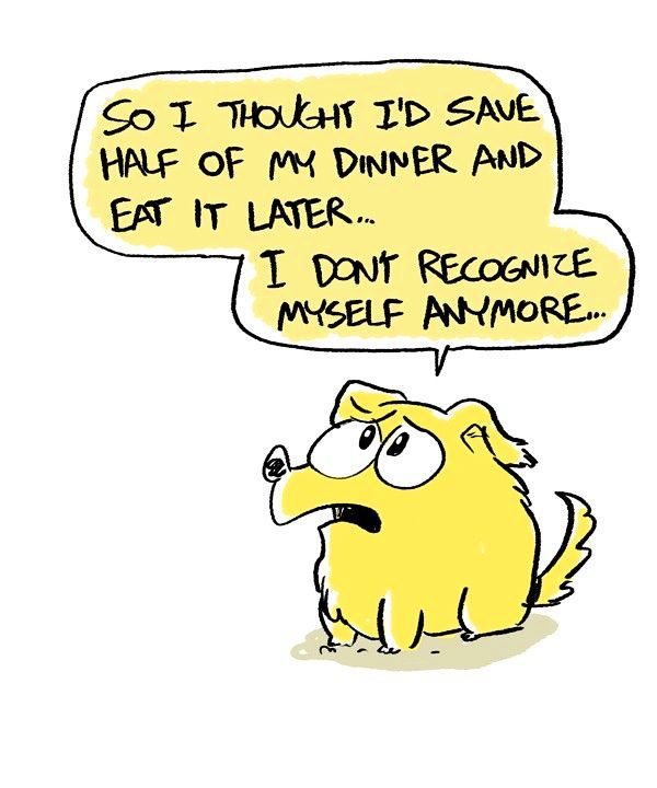 Behind the GIFs Chapter 33 page 4 - Chapter 33 : Leftovers - ACStuart