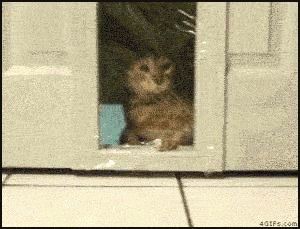 Behind the GIFs Chapter 33 page 6 - Chapter 33 : Leftovers - ACStuart