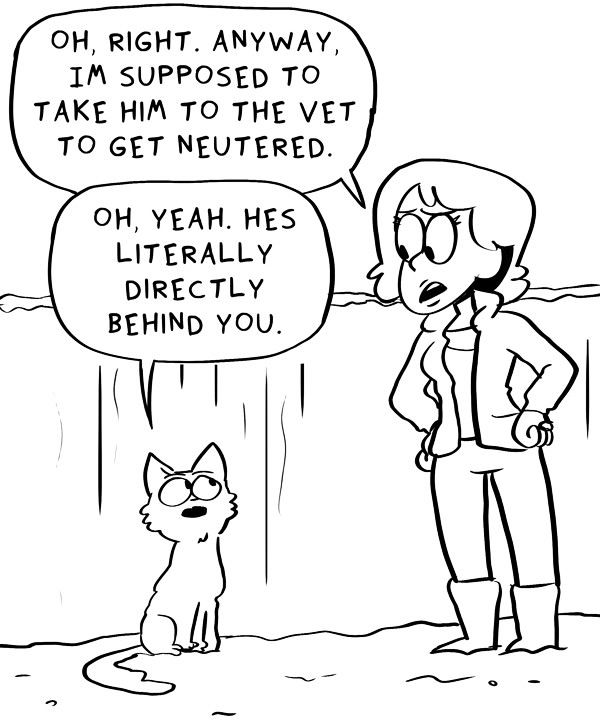 Behind the GIFs Chapter 334 page 3 - Chapter 334