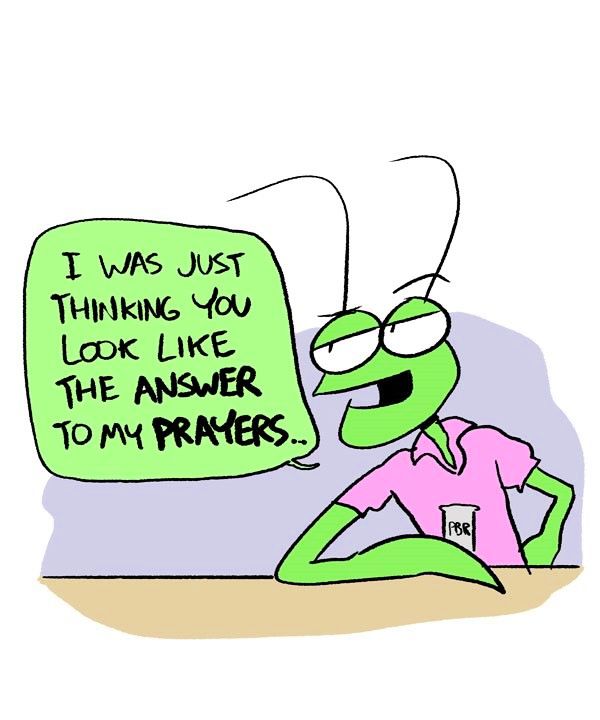 Behind the GIFs Chapter 34 page 3 - Chapter 34 : What a Mantis - Andy Stuart
