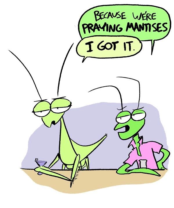 Behind the GIFs Chapter 34 page 5 - Chapter 34 : What a Mantis - Andy Stuart