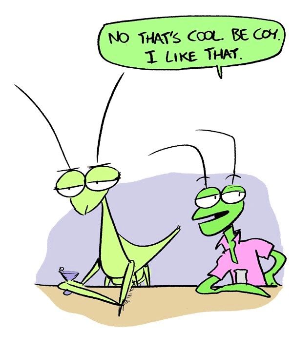 Behind the GIFs Chapter 34 page 6 - Chapter 34 : What a Mantis - Andy Stuart