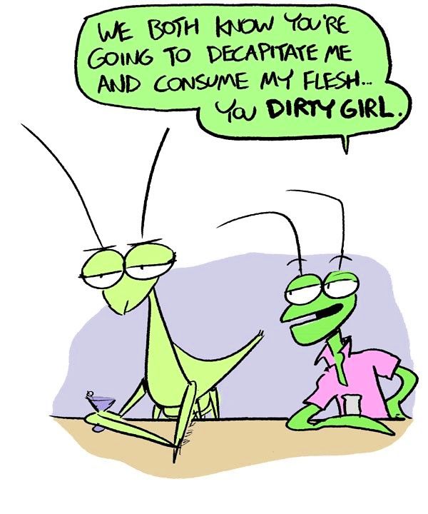 Behind the GIFs Chapter 34 page 7 - Chapter 34 : What a Mantis - Andy Stuart