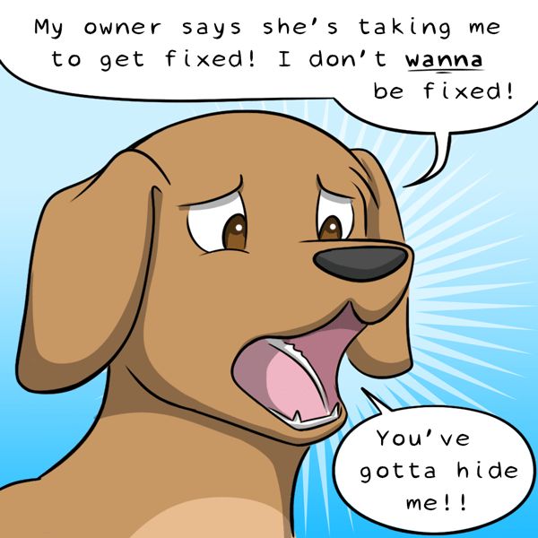 Behind the GIFs Chapter 340 page 3 - Chapter 340