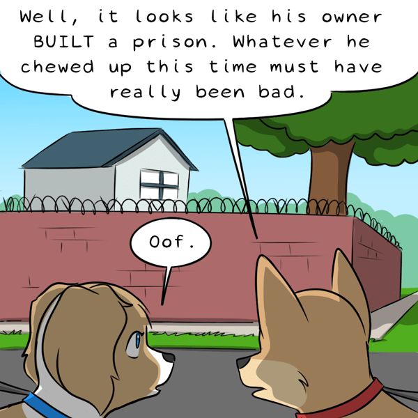 Behind the GIFs Chapter 351 page 3 - Chapter 351