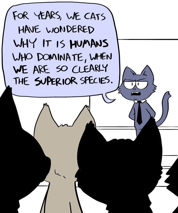 Behind the GIFs Chapter 370 page 1 - Chapter 370