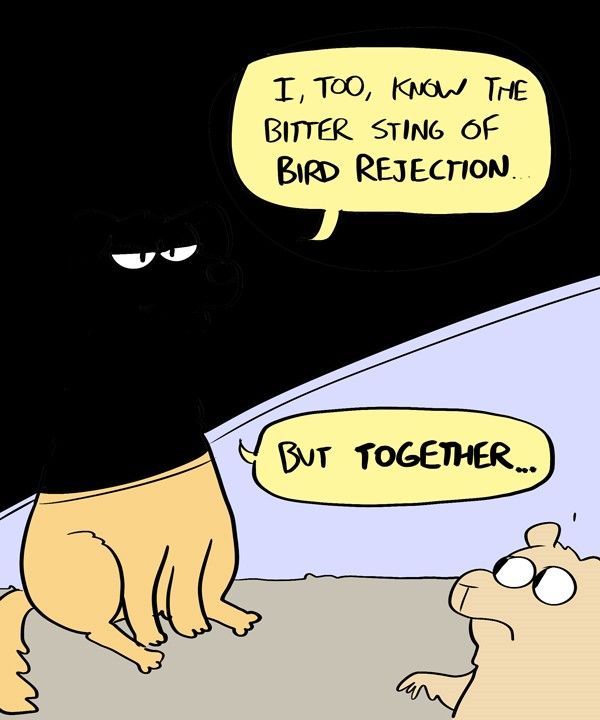 Behind the GIFs Chapter 377 page 5 - Chapter 377