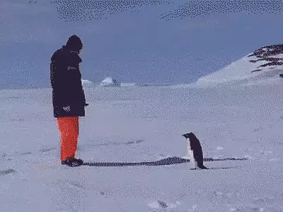 Behind the GIFs Chapter 422 page 8 - Chapter 422: The Penguin King - AC Stuart