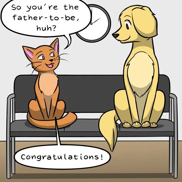 Behind the GIFs Chapter 43 page 3 - Chapter 43 : Roxy's Litter - Kat Swenski
