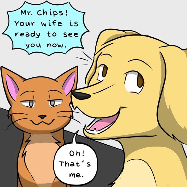 Behind the GIFs Chapter 43 page 8 - Chapter 43 : Roxy's Litter - Kat Swenski
