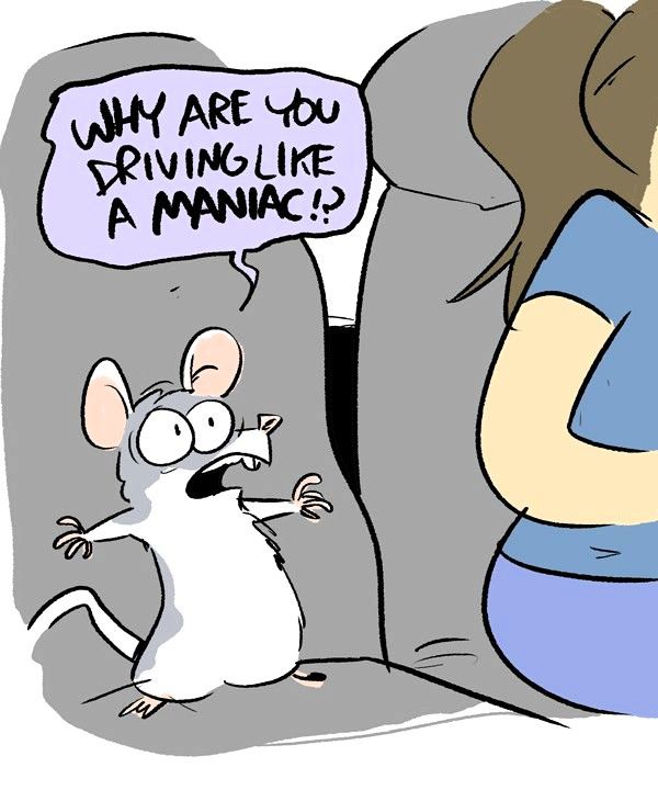 Behind the GIFs Chapter 49 page 2 - Chapter 49 : The Joy Ride - Andy Stuart