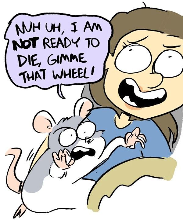 Behind the GIFs Chapter 49 page 5 - Chapter 49 : The Joy Ride - Andy Stuart