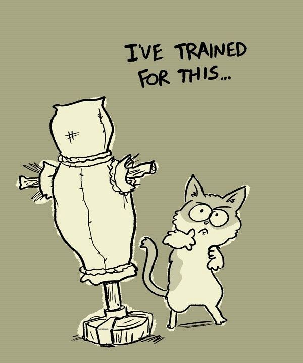 Behind the GIFs Chapter 62 page 3 - Chapter 62 : Assassin - Andy Stuart