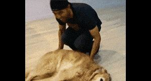 Behind the GIFs Chapter 8 page 6 - Chapter 8