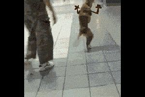 Behind the GIFs Chapter 9 page 9 - Chapter 9