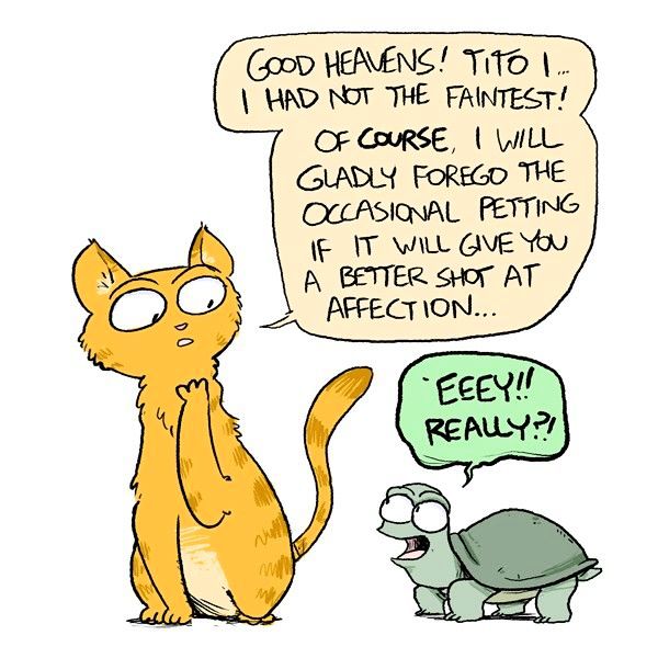 Behind the GIFs Chapter 94 page 5 - Chapter 94 : Tito the Turtle's Tragic Tale - Andy Stuart