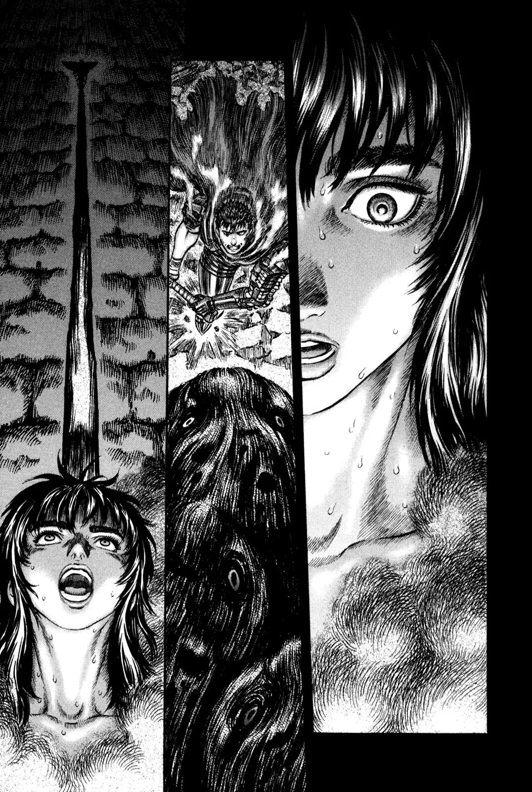 Berserk manga, chapter 166, page 15 of 24