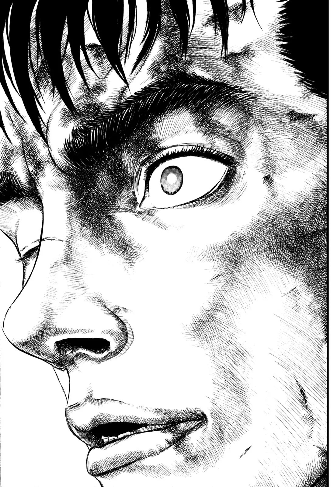Berserk manga, chapter 175, page 2 of 16