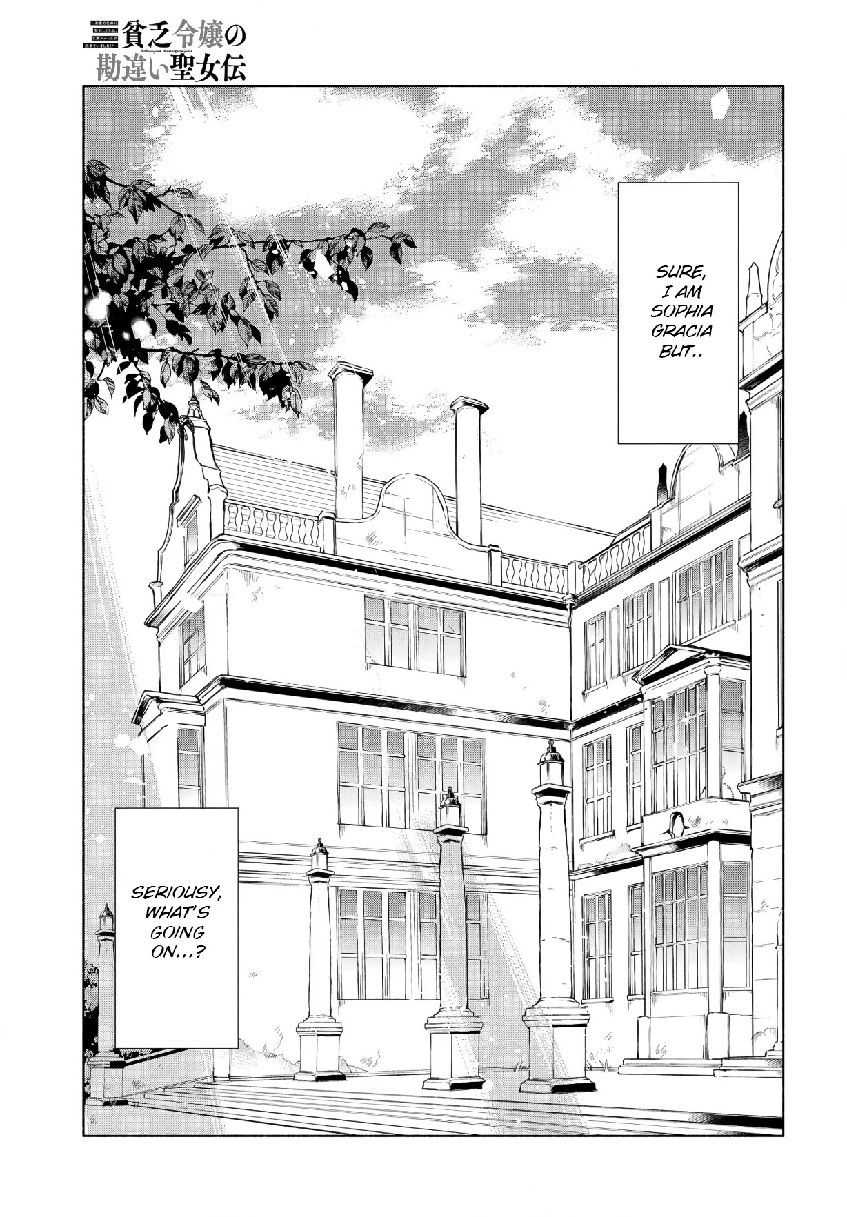 Binbou Reijou no Kanchigai Seijo Den Chapter 1 page 13 - Chapter 1: If you work hard for money you can create a royal harem?!