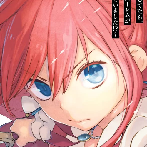 Binbou Reijou no Kanchigai Seijo Den Chapter 20.1: Extra cover