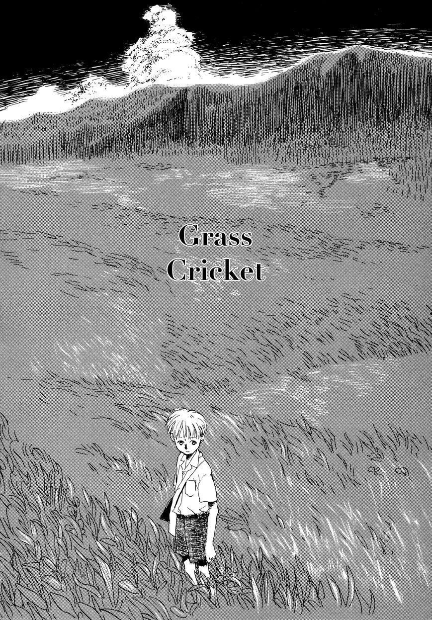 Bio Luminescence Chapter 7 page 2 - Chapter 7 : Grass Cricket