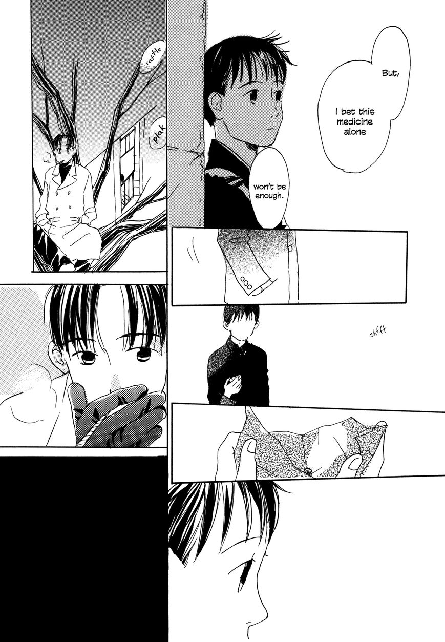 Bio Luminescence Chapter 8 page 13 - Chapter 8 : Mushishi