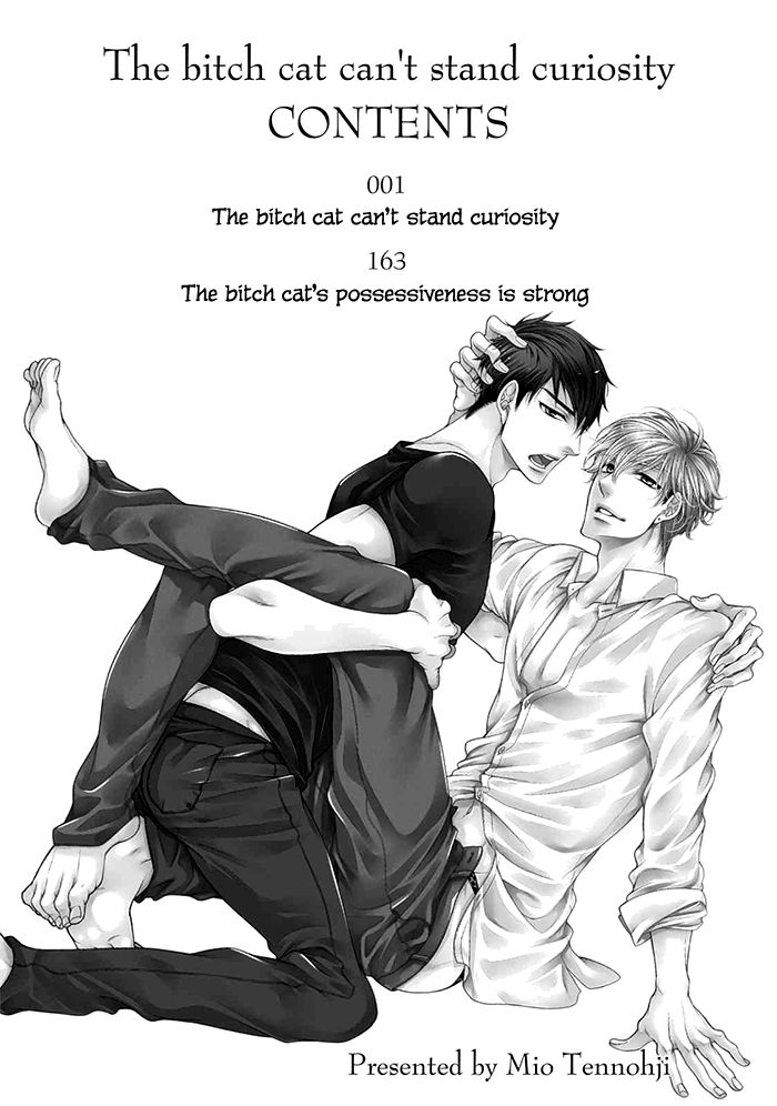 Bitch na Neko wa Koukishin ni Katenai Chapter 1 page 4 - Chapter 1