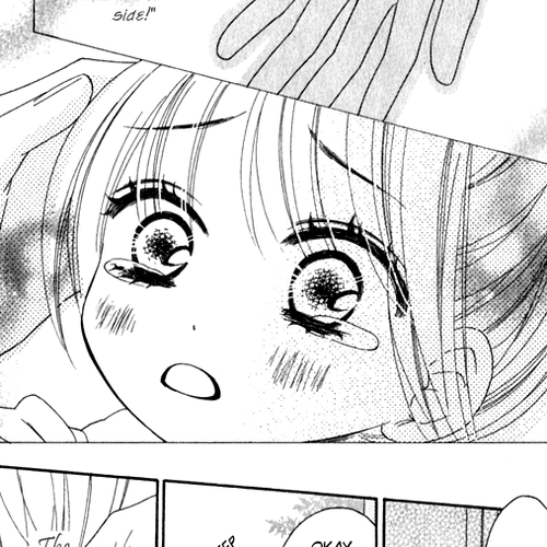 Black Bird Chapter 21.5: Extra cover