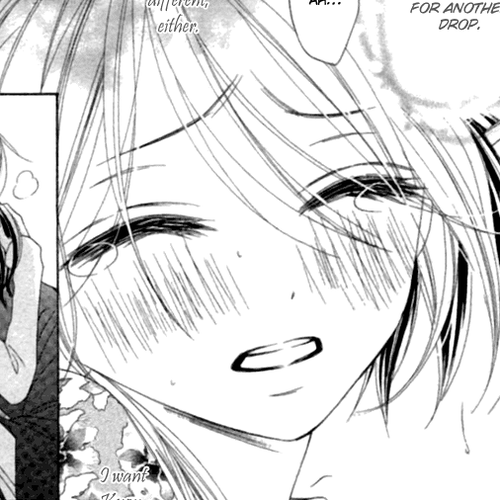 Black Bird Chapter 33 cover