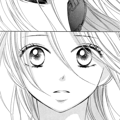 Black Bird Chapter 53 cover