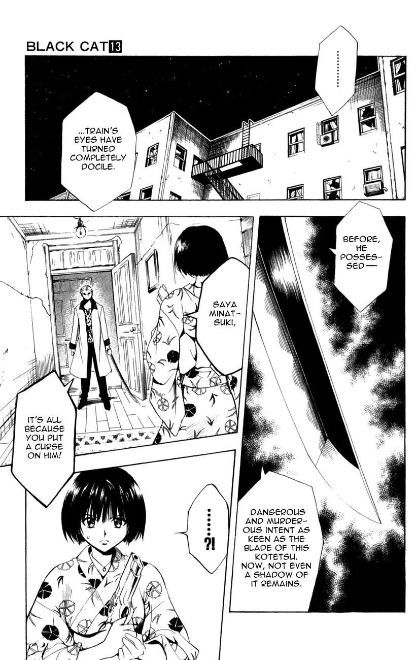 Black Cat Chapter 117 page 3 - Chapter 117: Reflect Shot