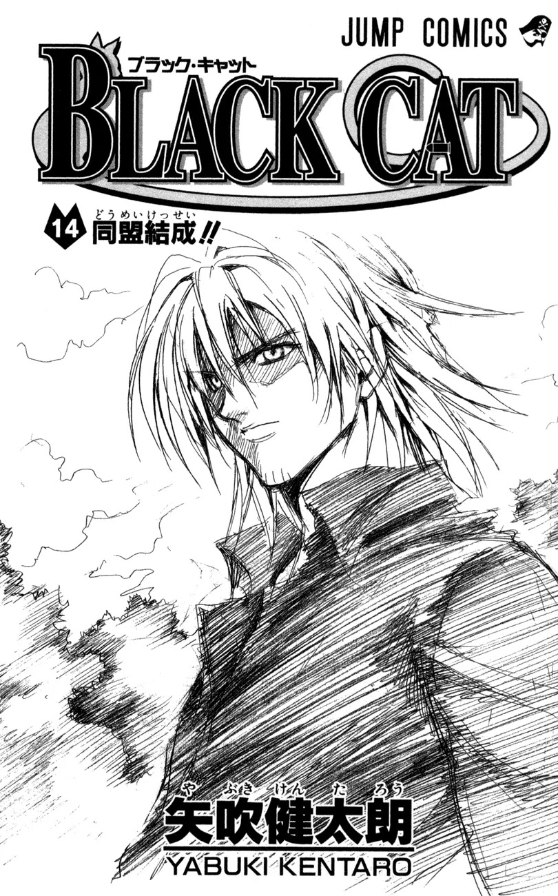 Black Cat Chapter 123 page 3 - Chapter 123: Sweeper Vs. Sweeper