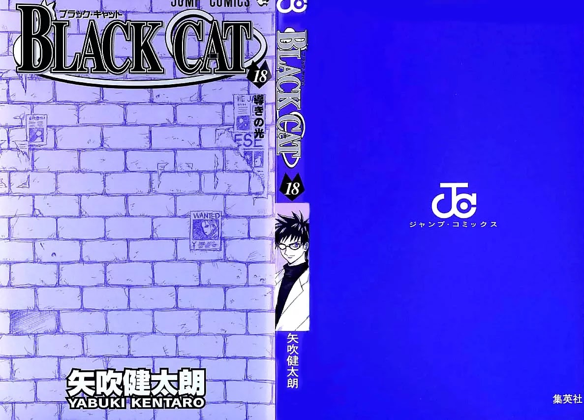 Black Cat Chapter 159 page 3 - Chapter 159: The World Of Nowhere