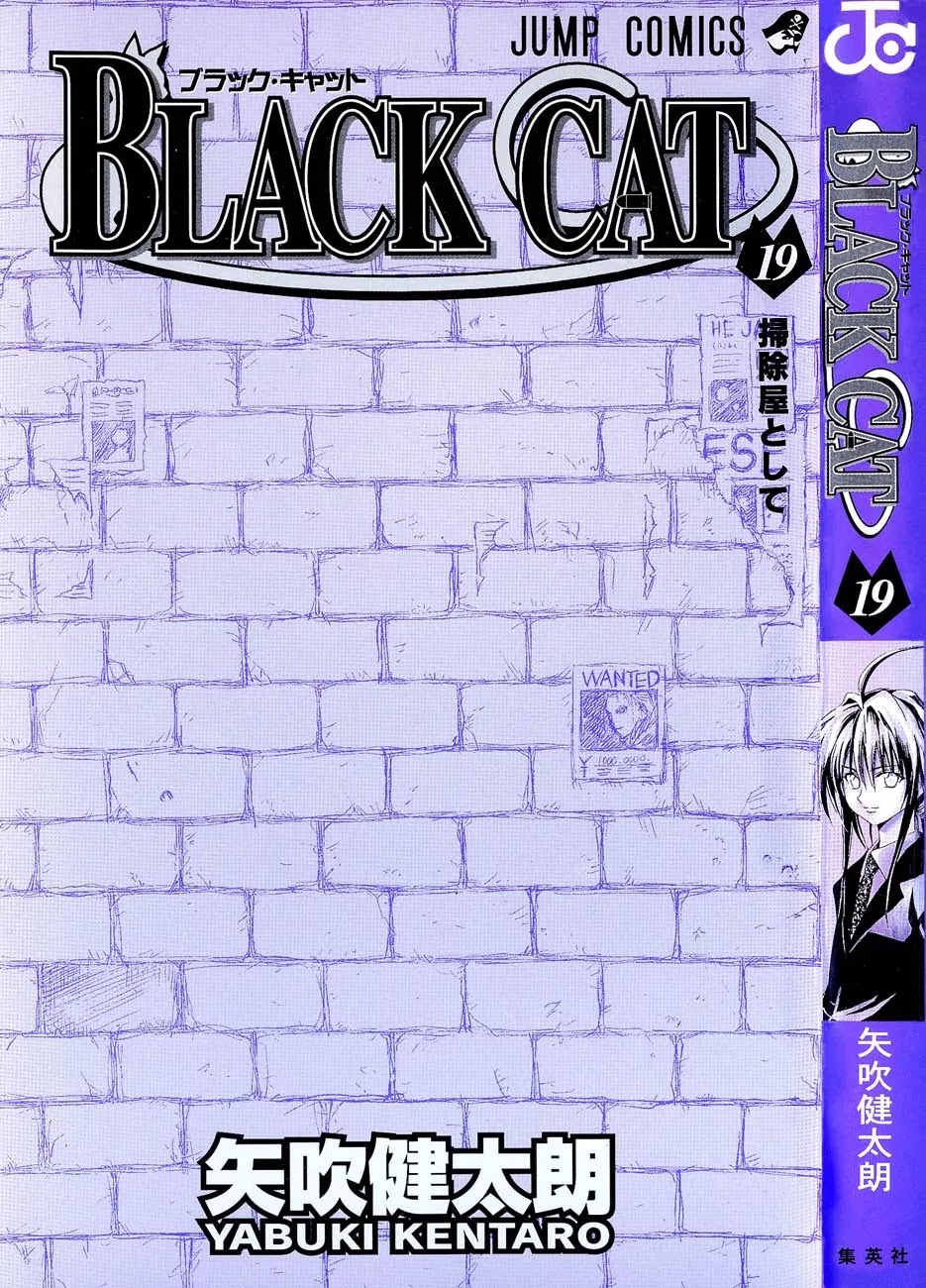 Black Cat Chapter 168 page 3 - Chapter 168: Ultimate Evolution