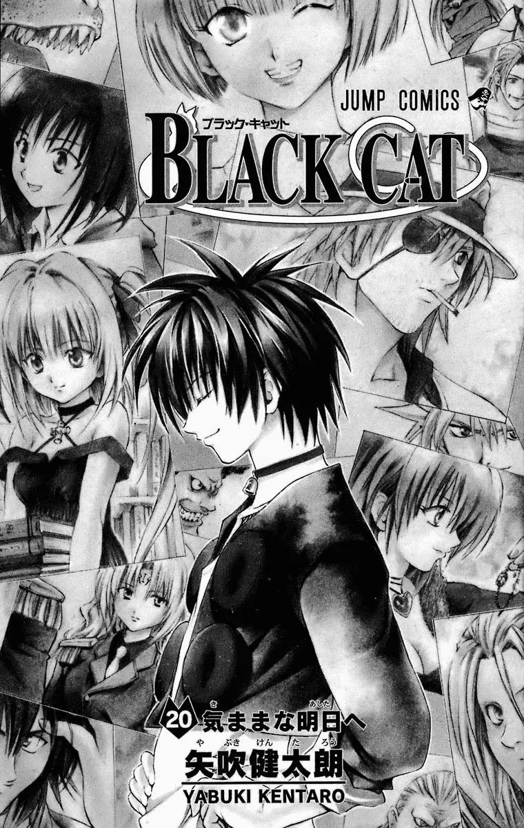 Black Cat Chapter 176 page 2 - Chapter 176: Imagine Blade Lv.3
