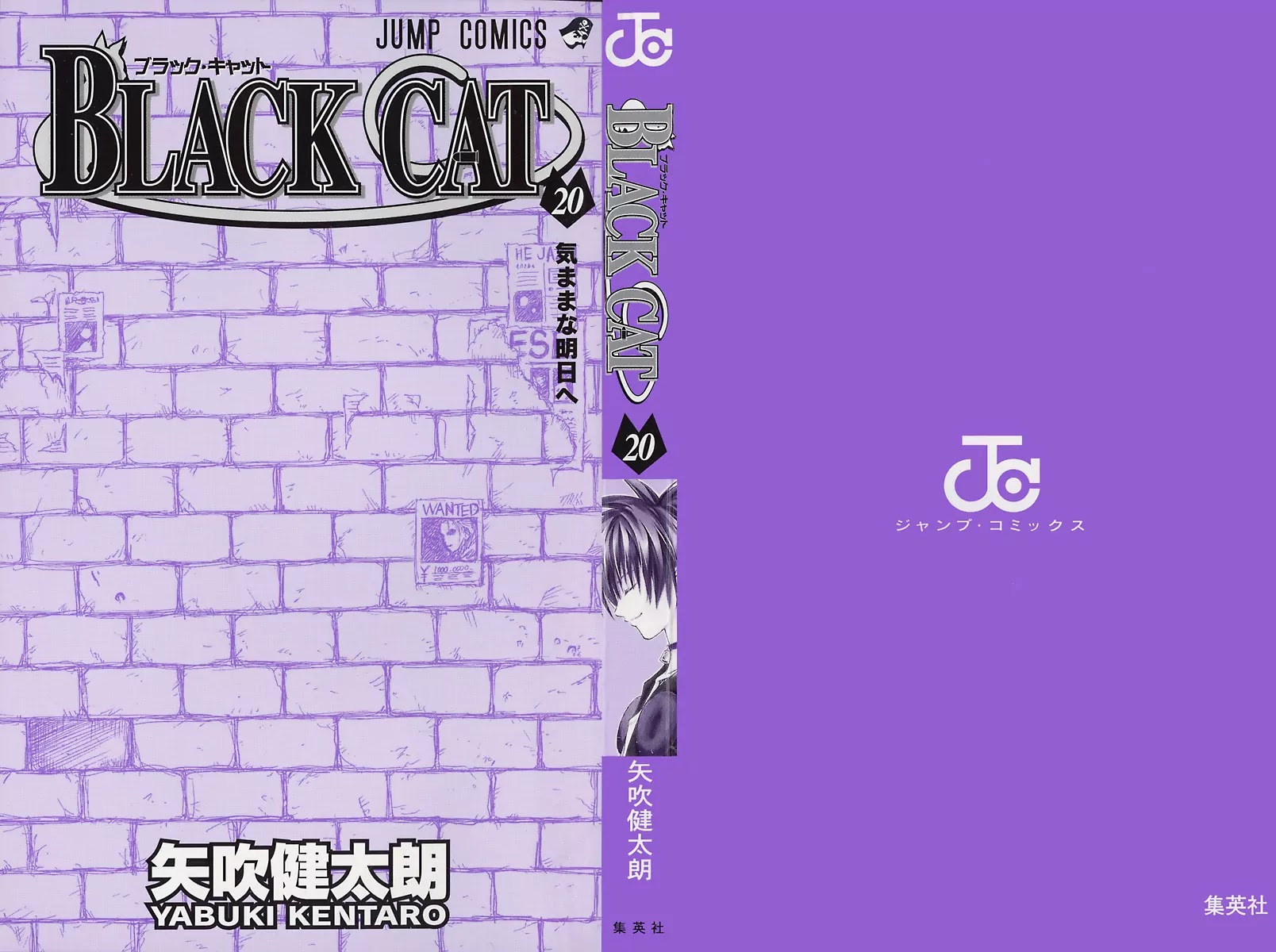 Black Cat Chapter 176 page 27 - Chapter 176: Imagine Blade Lv.3