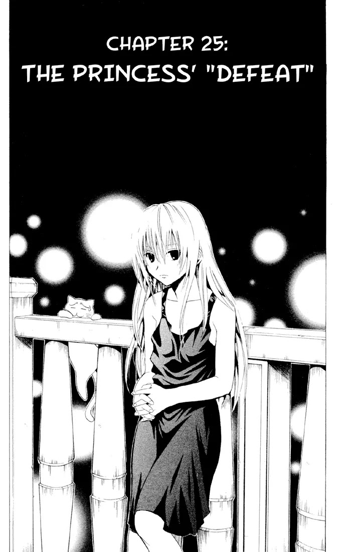 Black Cat Chapter 25 page 3 - Chapter 25: The Princess "Defeat"